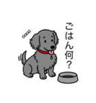 名前入りダックスロングソリッドブルー（個別スタンプ：24）