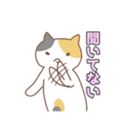 ねこねこの住み家・クリスマス＆お正月入り（個別スタンプ：14）