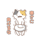 ねこねこの住み家8（個別スタンプ：1）