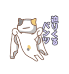 ねこねこの住み家8（個別スタンプ：5）