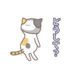 ねこねこの住み家8（個別スタンプ：10）