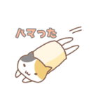 ねこねこの住み家8（個別スタンプ：20）