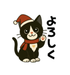 ハチワレ猫の冬スタンプ（個別スタンプ：5）