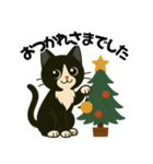 ハチワレ猫の冬スタンプ（個別スタンプ：9）