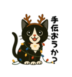 ハチワレ猫の冬スタンプ（個別スタンプ：10）