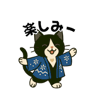 ハチワレ猫の冬スタンプ（個別スタンプ：12）