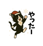 ハチワレ猫の冬スタンプ（個別スタンプ：13）