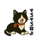 ハチワレ猫の冬スタンプ（個別スタンプ：16）