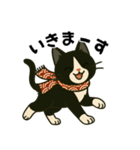 ハチワレ猫の冬スタンプ（個別スタンプ：18）