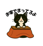 ハチワレ猫の冬スタンプ（個別スタンプ：20）