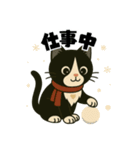 ハチワレ猫の冬スタンプ（個別スタンプ：23）