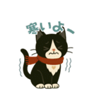 ハチワレ猫の冬スタンプ（個別スタンプ：24）