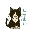 ハチワレ猫の冬スタンプ（個別スタンプ：25）