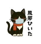 ハチワレ猫の冬スタンプ（個別スタンプ：27）