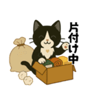 ハチワレ猫の冬スタンプ（個別スタンプ：30）