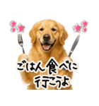 ゴールデンレトリバー★毎日使える家族連絡（個別スタンプ：26）