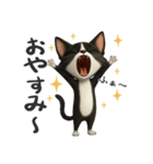 うるうる瞳の白黒ネコちゃん（個別スタンプ：5）