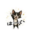 うるうる瞳の白黒ネコちゃん（個別スタンプ：10）