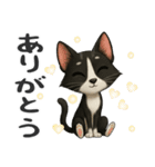 うるうる瞳の白黒ネコちゃん（個別スタンプ：12）