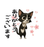 うるうる瞳の白黒ネコちゃん（個別スタンプ：13）