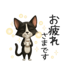 うるうる瞳の白黒ネコちゃん（個別スタンプ：14）