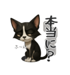うるうる瞳の白黒ネコちゃん（個別スタンプ：21）