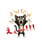 うるうる瞳の白黒ネコちゃん（個別スタンプ：23）