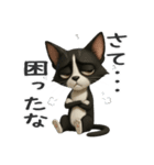 うるうる瞳の白黒ネコちゃん（個別スタンプ：24）