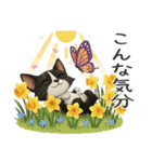 うるうる瞳の白黒ネコちゃん（個別スタンプ：37）