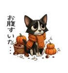 うるうる瞳の白黒ネコちゃん（個別スタンプ：39）