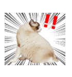 りゅうちゃんの可愛いスタンプです！（個別スタンプ：8）