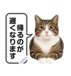 リアルなキジトラ・キジ白猫で挨拶しよ 2（個別スタンプ：4）