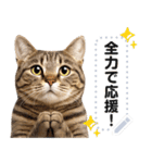 リアルなキジトラ・キジ白猫で挨拶しよ 2（個別スタンプ：12）