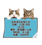 リアルなキジトラ・キジ白猫で挨拶しよ 2（個別スタンプ：18）