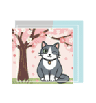 北欧のハチワレ猫のカレンダー（個別スタンプ：2）