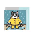 北欧のハチワレ猫のカレンダー（個別スタンプ：8）