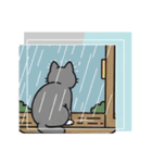 北欧のハチワレ猫のカレンダー（個別スタンプ：15）