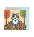 北欧のハチワレ猫のカレンダー（個別スタンプ：22）