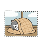 北欧のハチワレ猫のカレンダー（個別スタンプ：29）