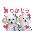 リンちゃんミクちゃんの可愛いスタンプ（個別スタンプ：3）