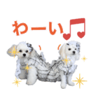 リンちゃんミクちゃんの可愛いスタンプ（個別スタンプ：4）