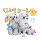 リンちゃんミクちゃんの可愛いスタンプ（個別スタンプ：6）