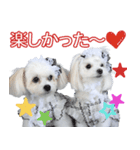 リンちゃんミクちゃんの可愛いスタンプ（個別スタンプ：7）