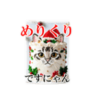 猫♥クリスマスツリー・ケーキ・リース（個別スタンプ：3）
