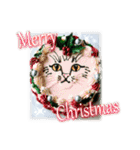猫♥クリスマスツリー・ケーキ・リース（個別スタンプ：13）