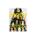 猫♥クリスマスツリー・ケーキ・リース（個別スタンプ：16）