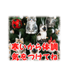 猫♥クリスマスツリー・ケーキ・リース（個別スタンプ：17）