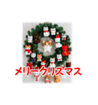 猫♥クリスマスツリー・ケーキ・リース（個別スタンプ：19）