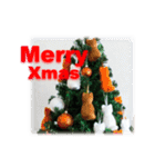 猫♥クリスマスツリー・ケーキ・リース（個別スタンプ：22）