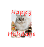 猫♥クリスマスツリー・ケーキ・リース（個別スタンプ：25）